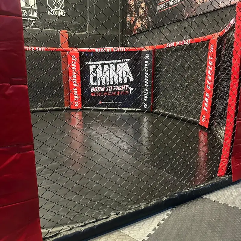 MMA — EMMA Club Alexandria